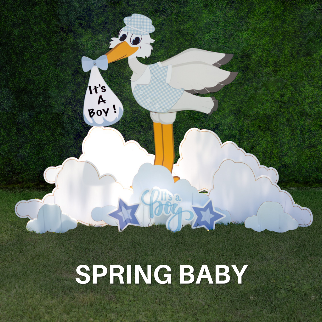 Spring Baby | PA