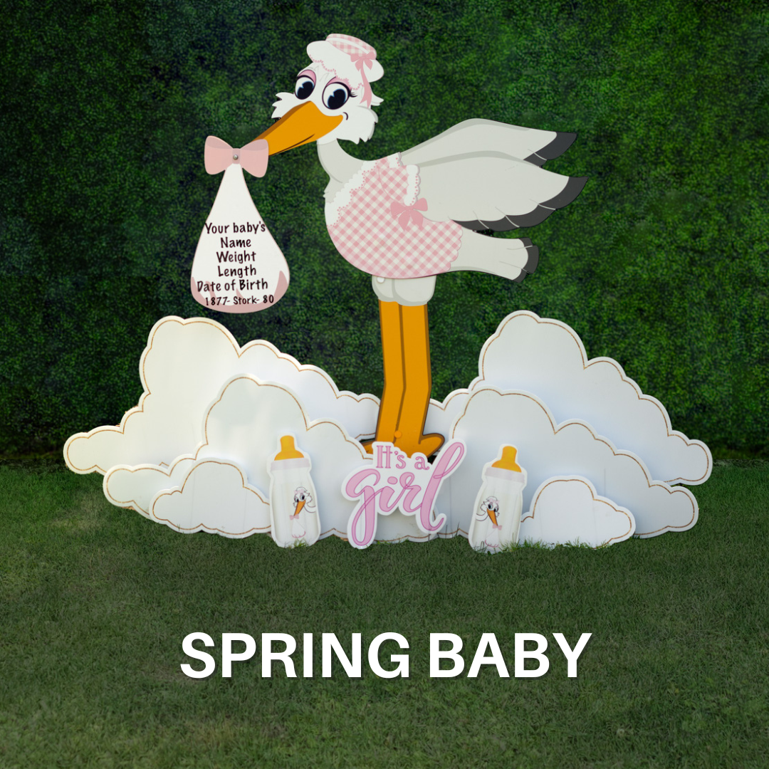 Spring Baby | PA