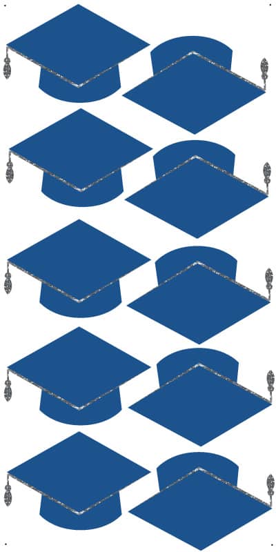 Navy & Silver Grad Caps