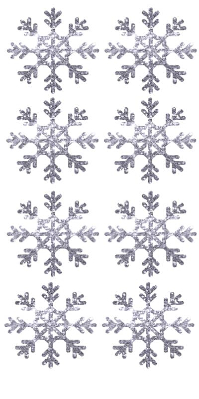 Snow Flakes _Silver