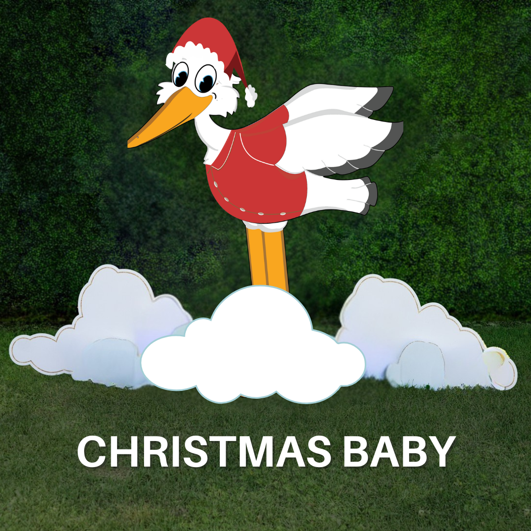 Christmas Baby | Stork anywhere in the United States