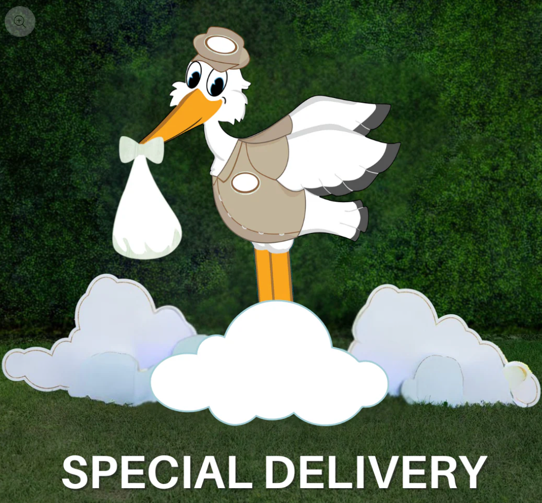 Stork Announcement Anywhere in the United States