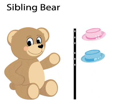 Sibling Bear Package 2