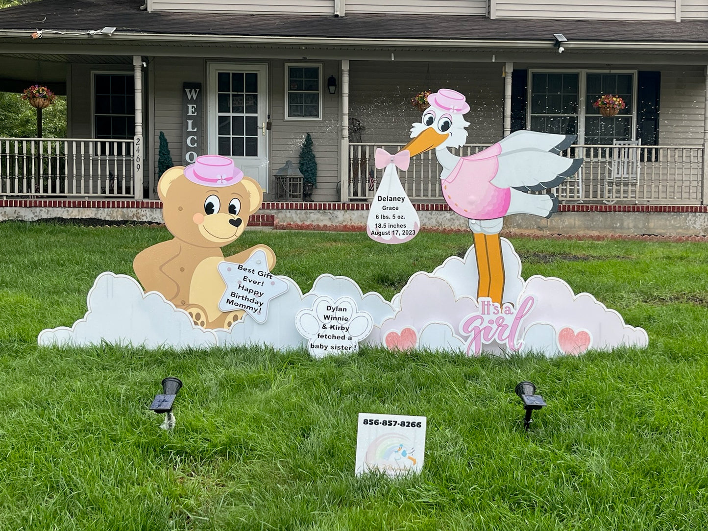 Stork + Pink Bear Bundle Rental | star keepsake yours to keep