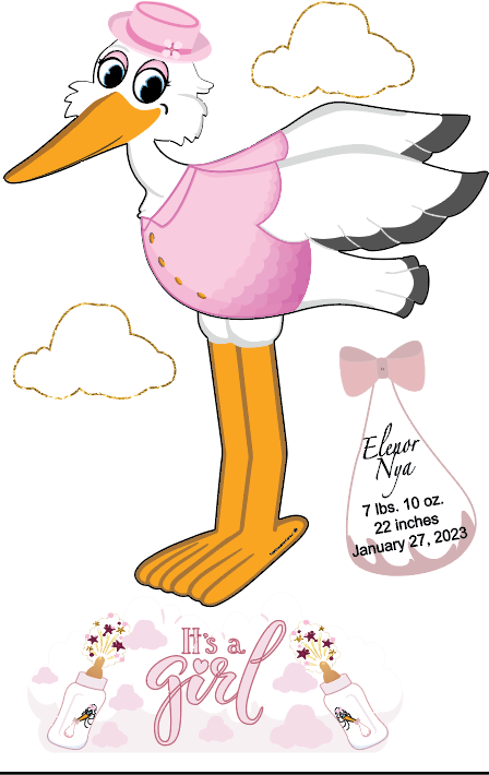 Stork Purchase shipped to your door