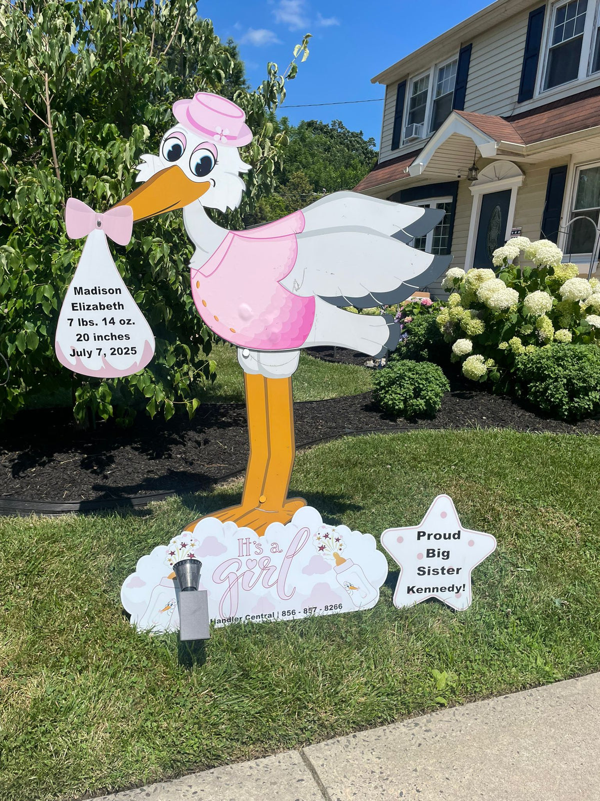Stork rental starter package