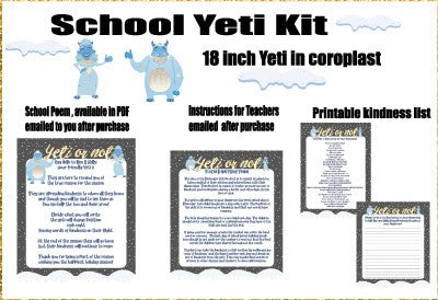 Yeti - School Kit (indoors)