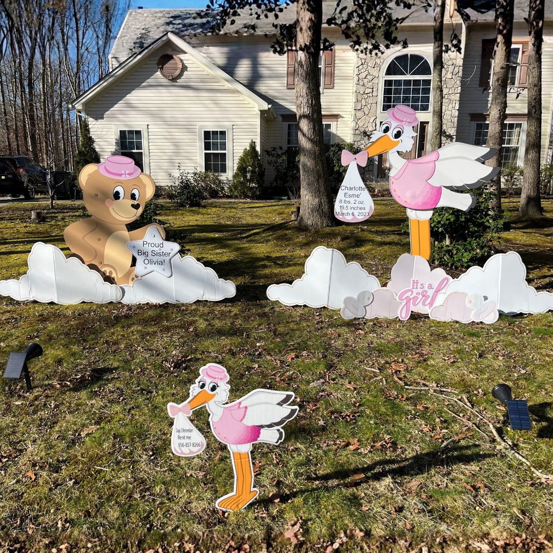 Stork + Bear Bundle Rental | star keepsake yours to keep